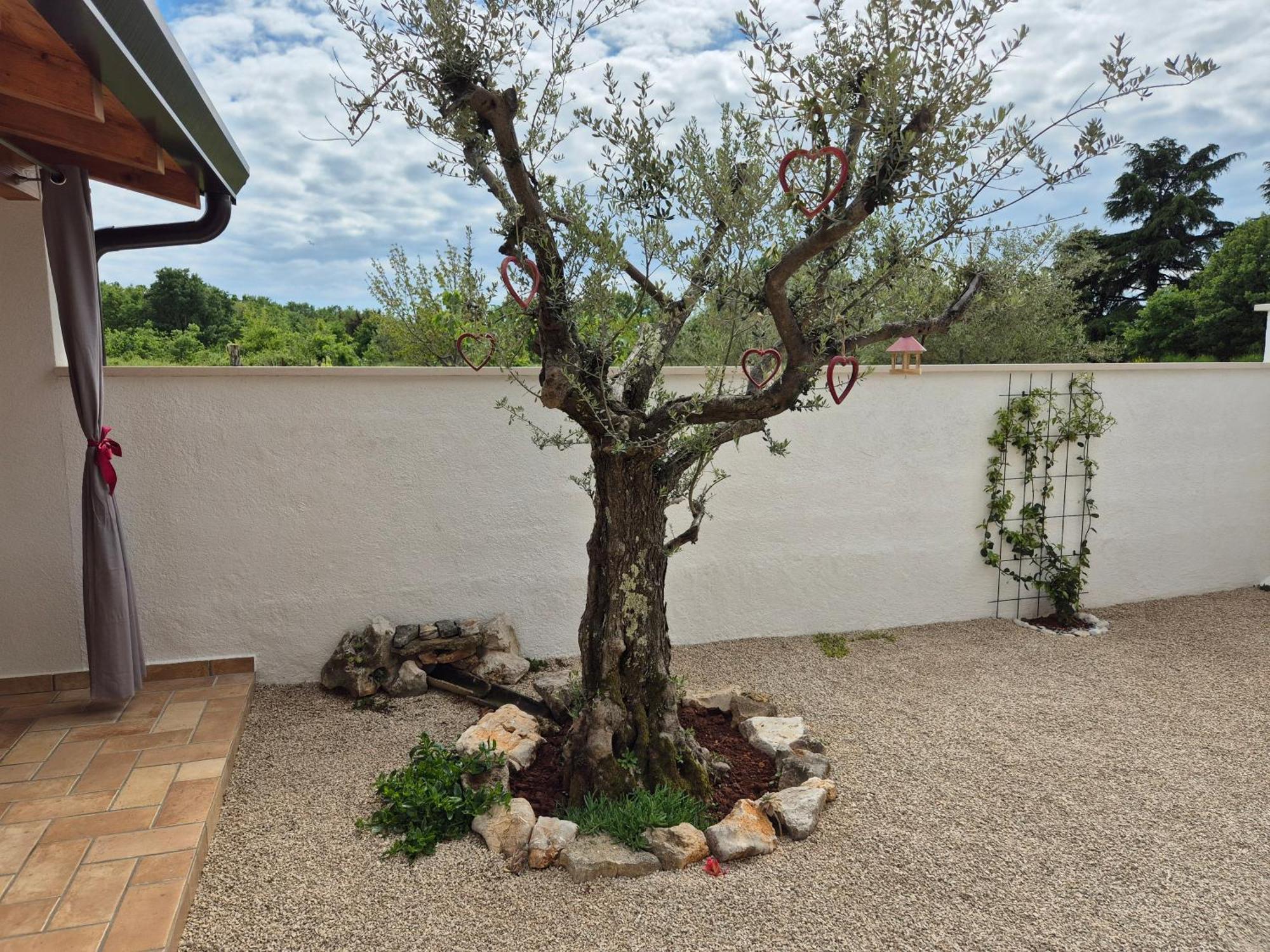 Apartment Vinja Porec - Privat Garden - Whirlpool Ngoại thất bức ảnh
