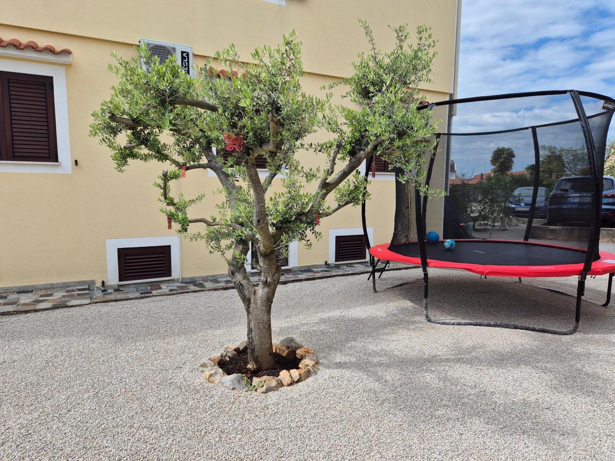 Apartment Vinja Porec - Privat Garden - Whirlpool Ngoại thất bức ảnh